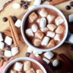 Cinnamon Vegan Hot Chocolate | Warm Beverage Recipe | World of Vegan | #hot #chocolate #cocoa #cinnamon #winter #fall #christmas #vegan #worldofvegan