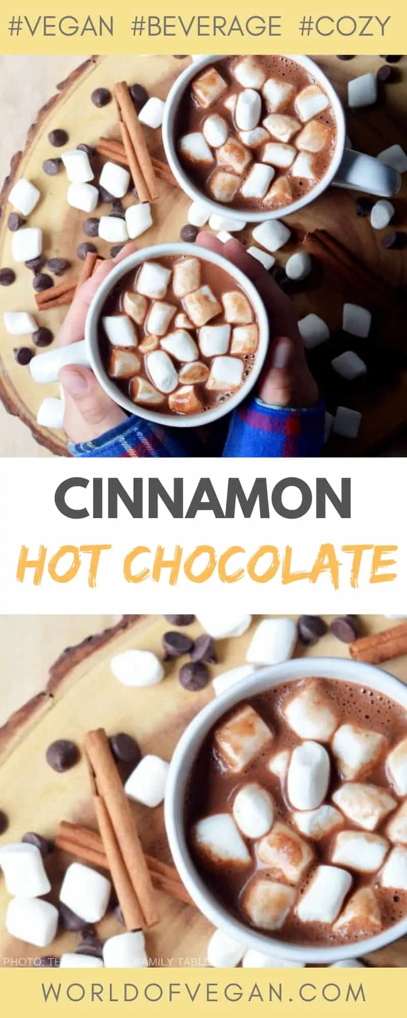Cinnamon Vegan Hot Chocolate | Warm Beverage Recipe | World of Vegan | #hot #chocolate #cocoa #cinnamon #winter #fall #christmas #vegan #worldofvegan