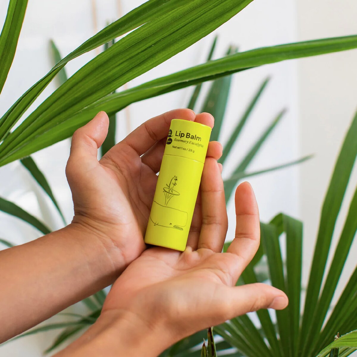 Two hands holding a cardboard tube of Meow Meow Tweet vegan lip balm against a white background with green plants.