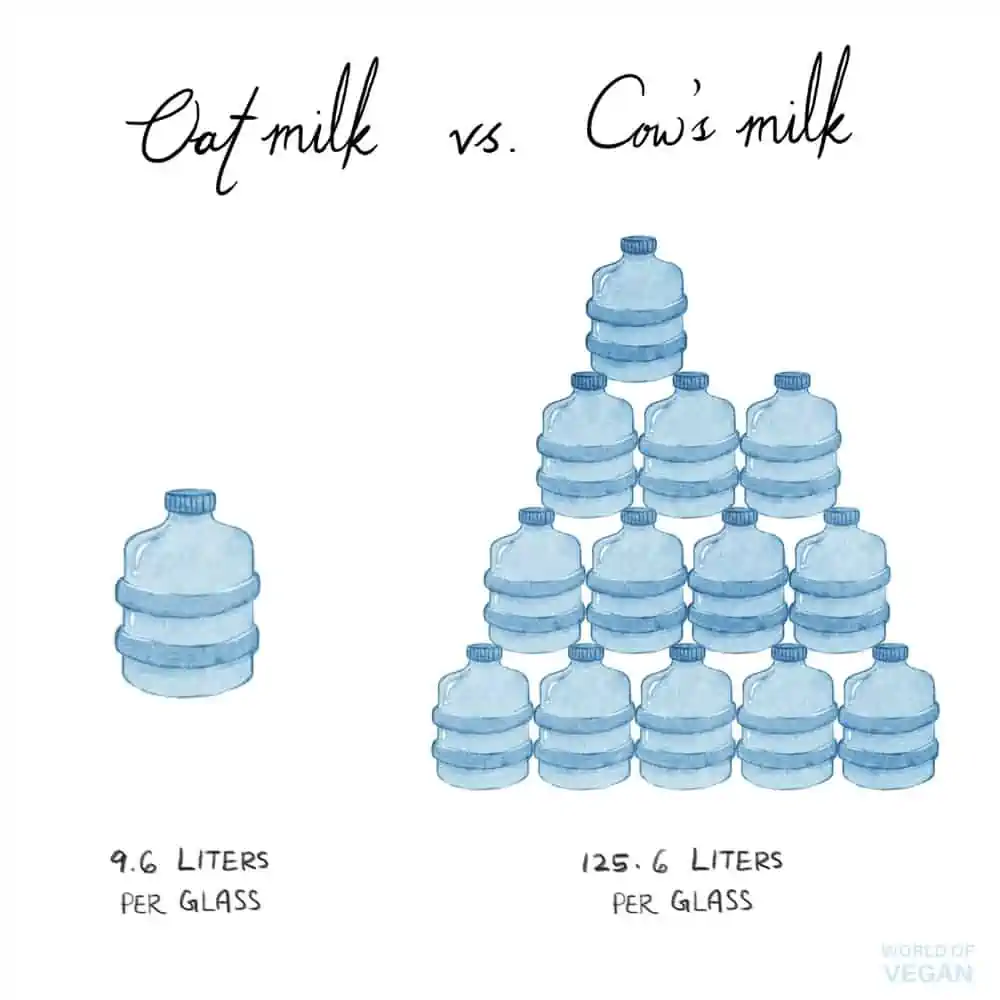 Oat Milk vs Cows Milk Sustainability Water Usage Illustration