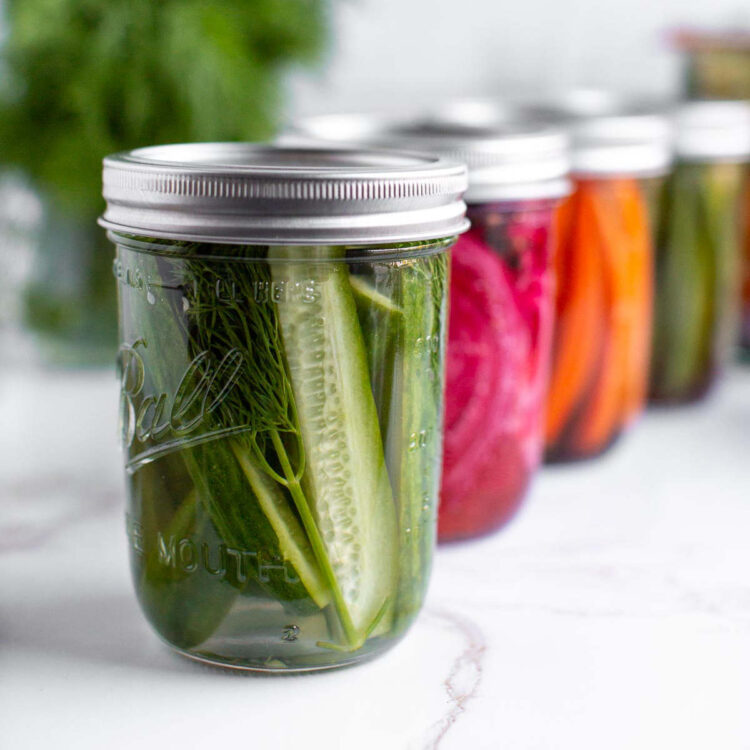 Jars of various pickled vegetables lined up in a row including pickled cucumbers, red onion, and carrots.