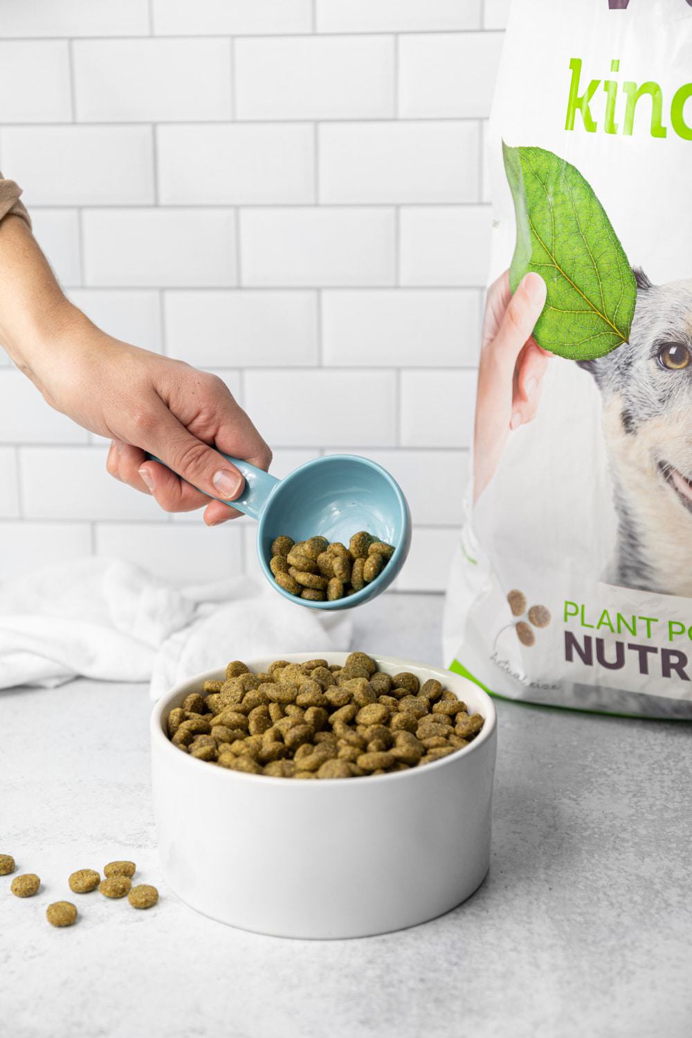 plant based diet for dogs