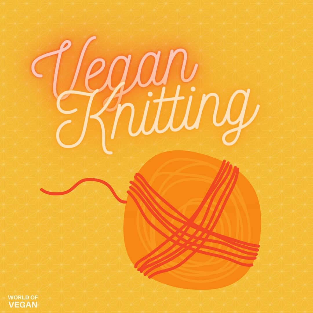 Vegan Knitting Guide Illustration Graphic