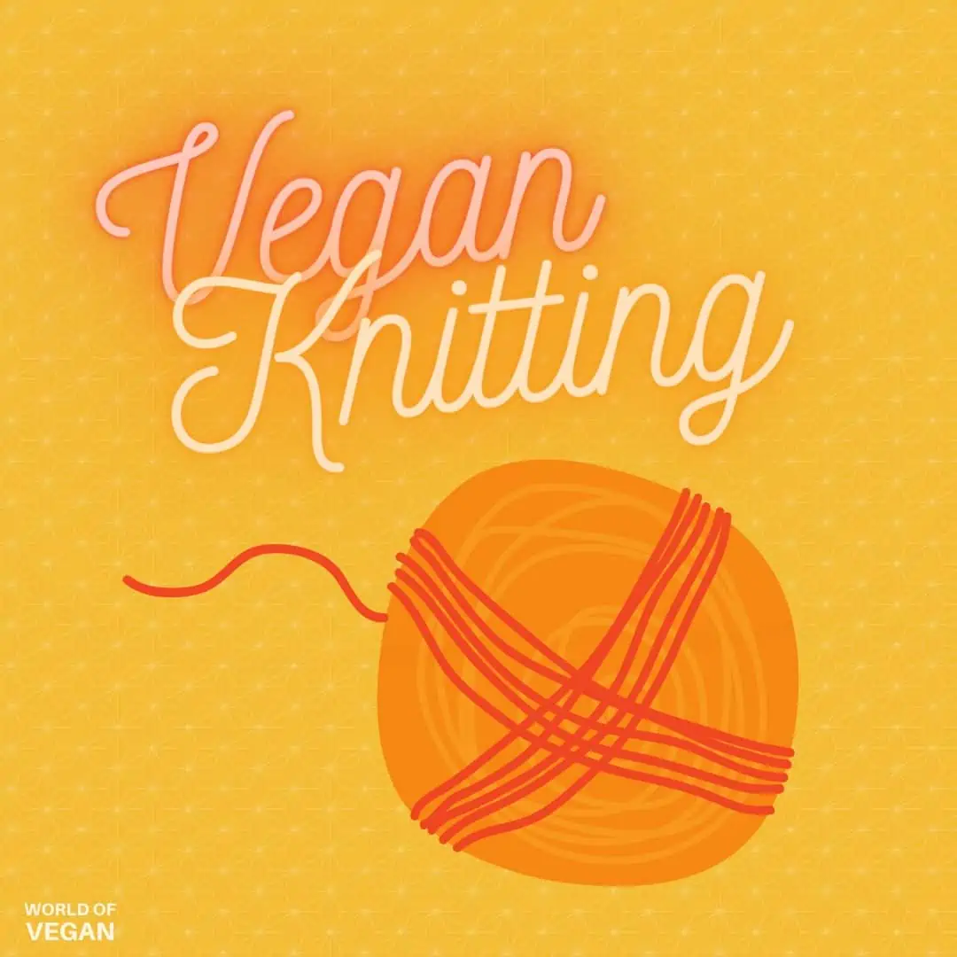 Vegan Knitting Guide Illustration Graphic