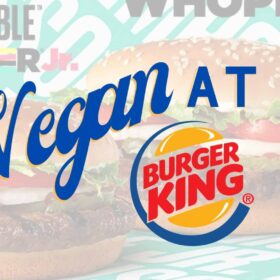 How to Order Vegan at Burger King Photo