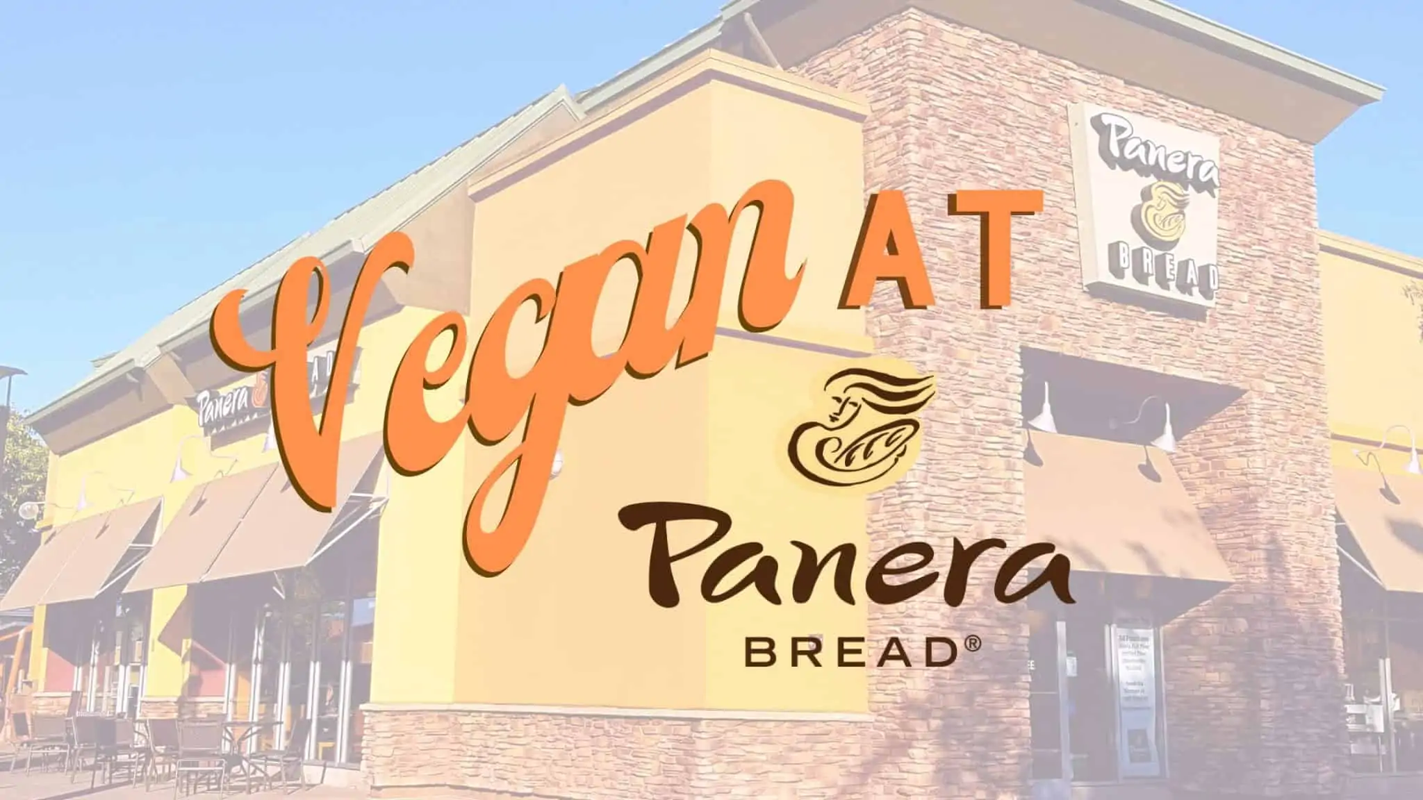 How To Easily Order Vegan at Panera (Ultimate Guide)
