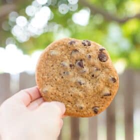 Vegan Chocolate Chip Cookie from Fat Badger Bakery and Online Bakery That Ships