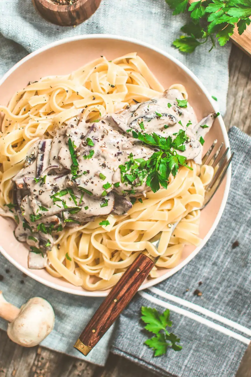 Mushroom Stroganoff on Fettuccini.
