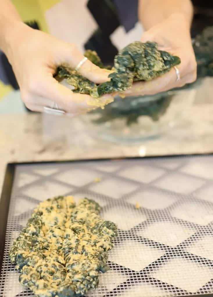 massaging cheezy paste into dino kale leaves