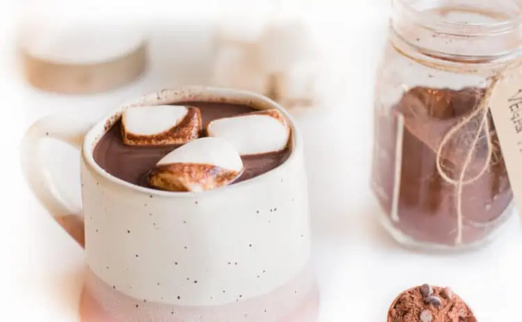 Best Vegan Hot Cocoa Recipe With Vegan Marshmallows