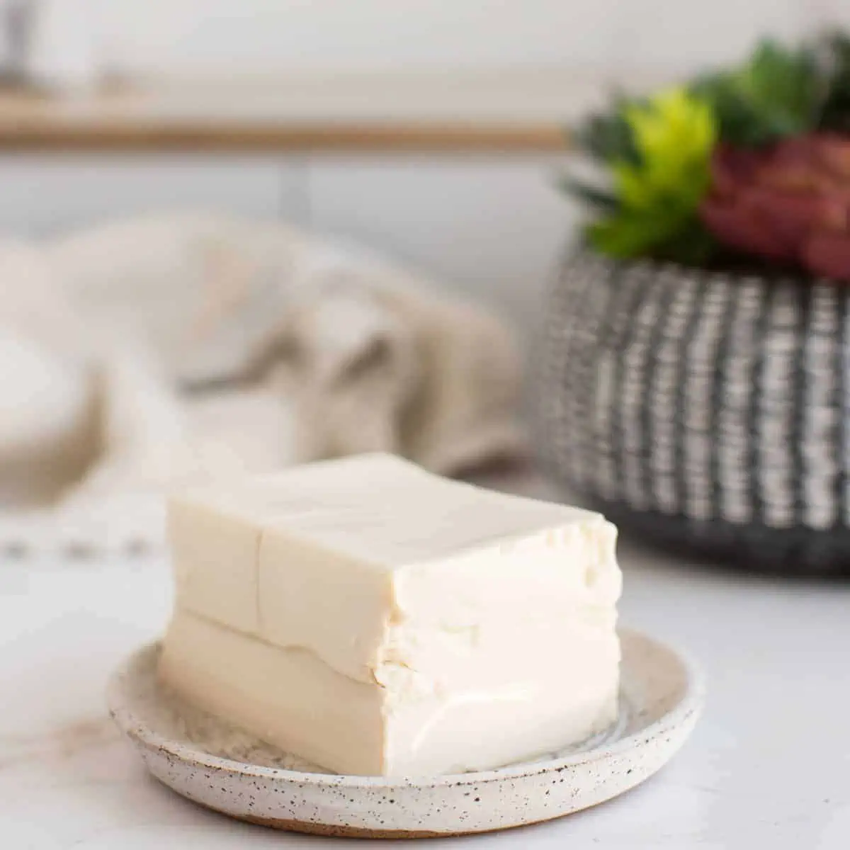 Silken tofu on a plate.