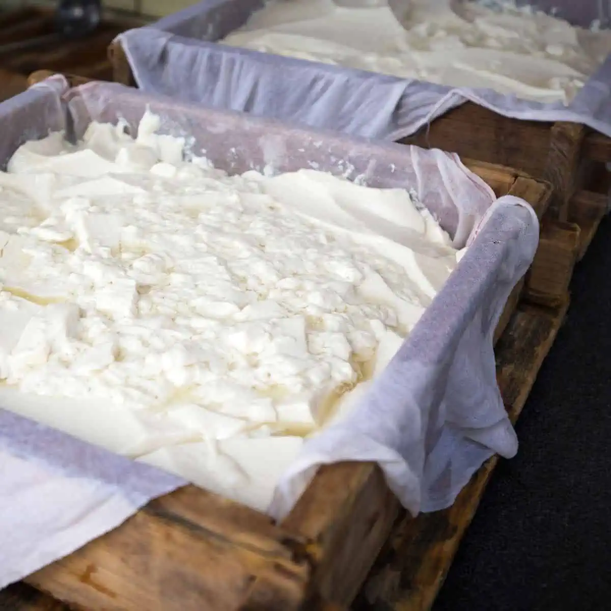 The process of making tofu.