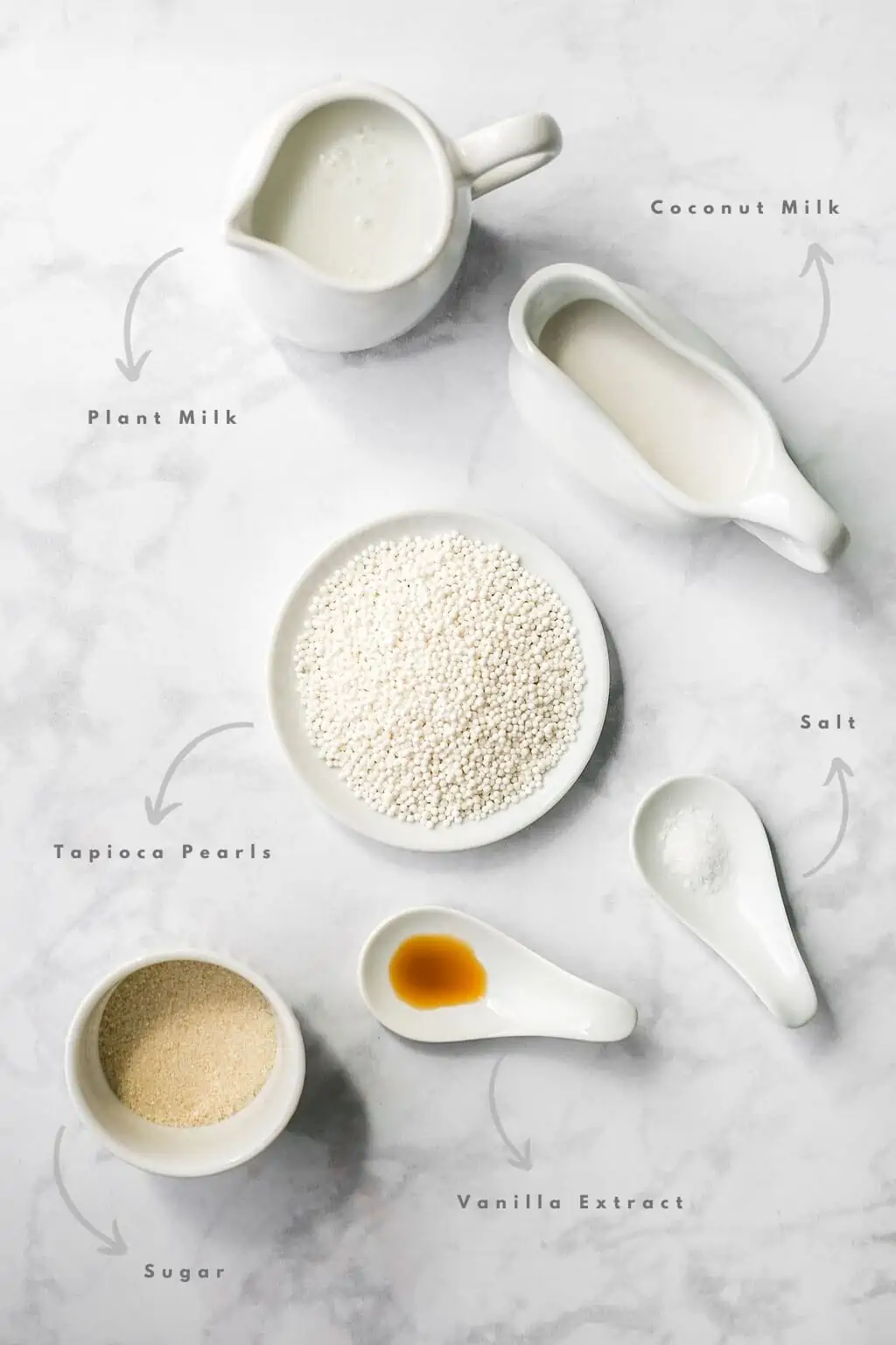 Vegan Tapioca Pudding Ingredients vegan milk sugar vanilla tapioca pearls salt