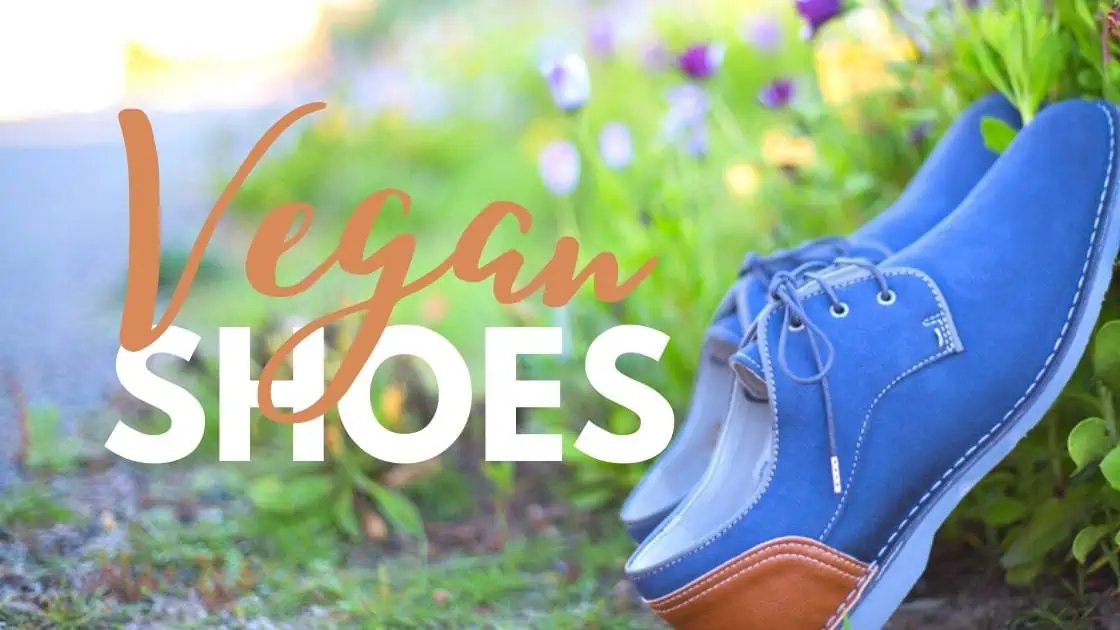 Guide to Vegan Shoes with men's manmade blue suede dress shoes in a garden. 