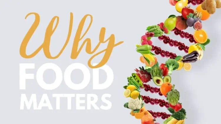 Why Food Matters—Disease Prevention & Treatment Through a Plant-Based Diet