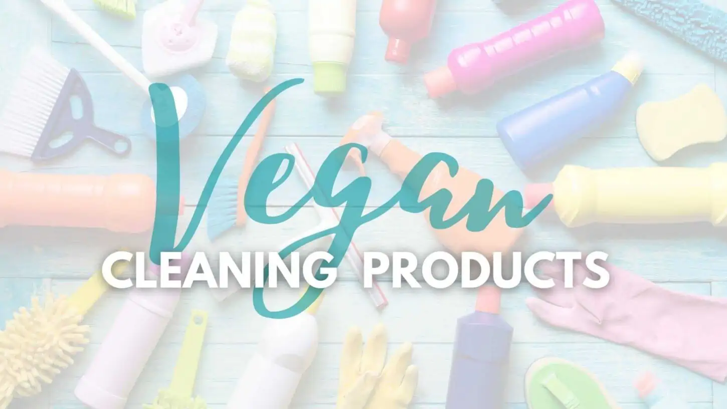 cleaning product brands