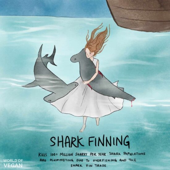 Illustration of a girl hugging a shark underwater, symbolizing compassion for marine life.