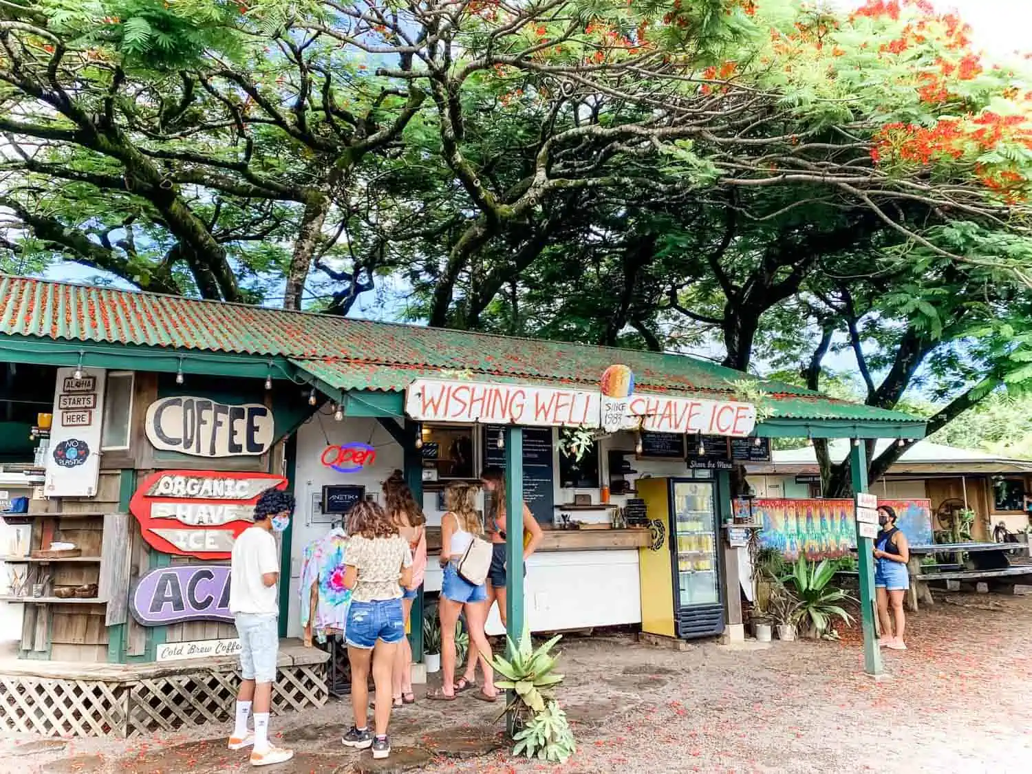 Vegan Friendly Wishing Well Shave Ice Food Truck in Kauaii