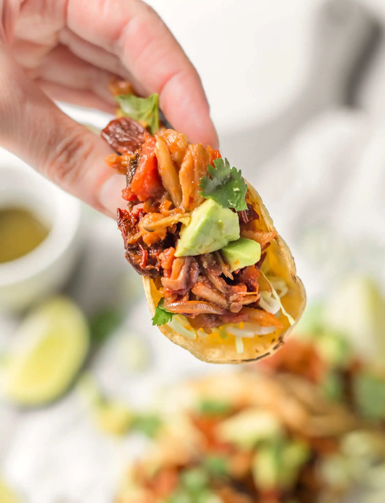 Hand holding a vegan oyster mushroom taco dressed With avocado and cilantro.