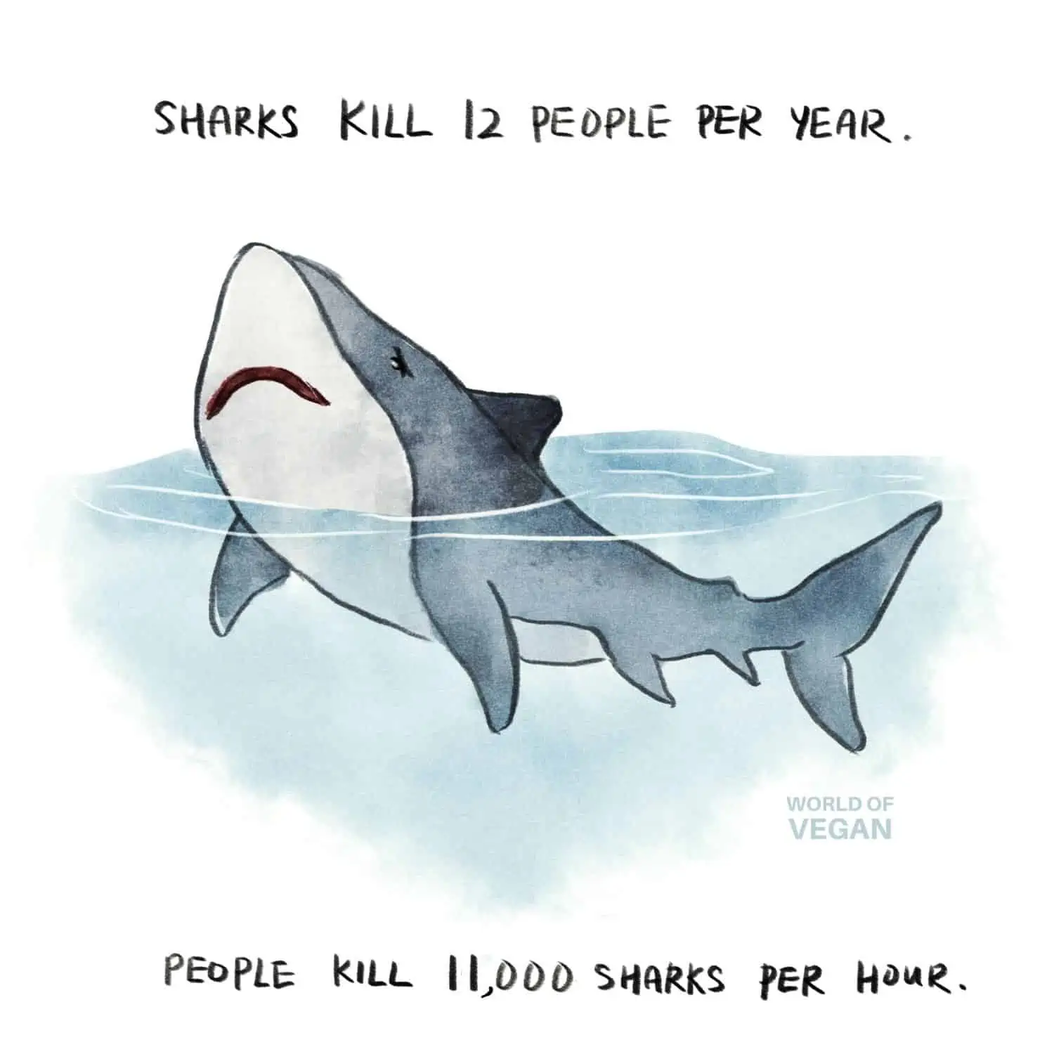 World of Vegan Shark Art Number Sharks Killed vs Humans Killed Per Year