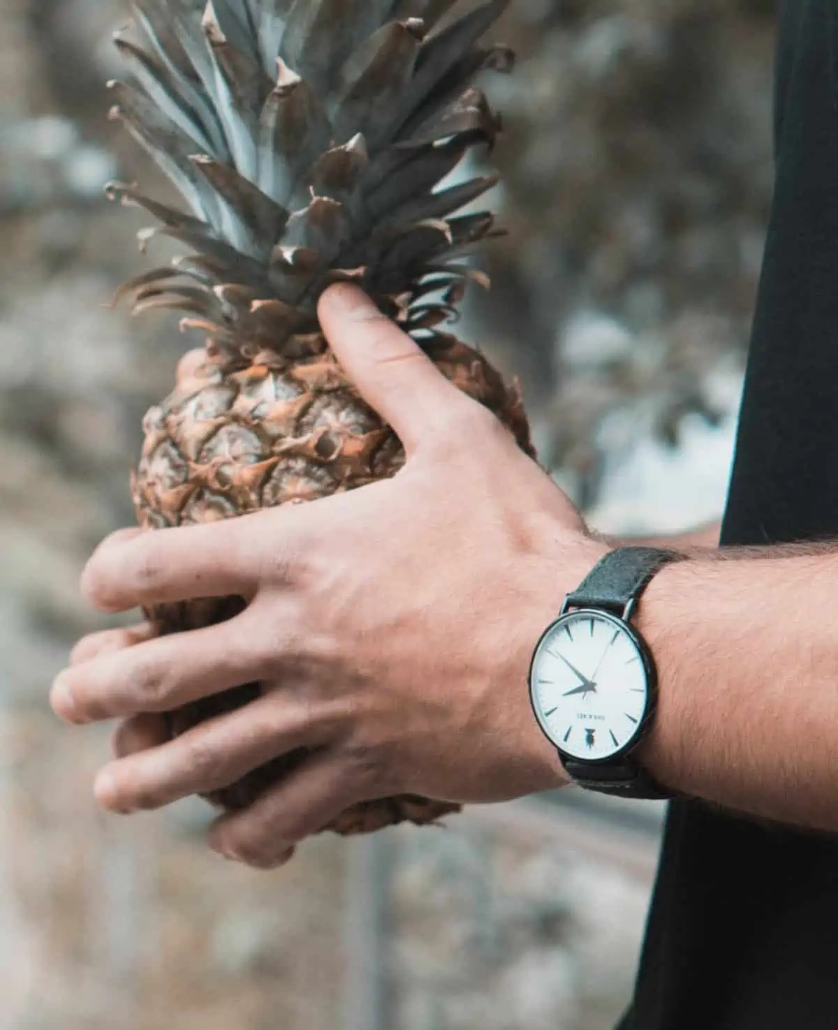 Man holding a pineapple wearing pineapple leather vegan watch from the brand Dan & Mez. 