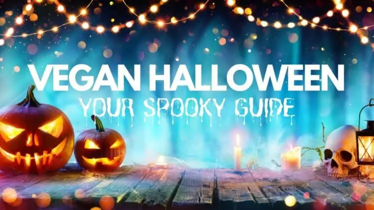 How to Celebrate a Vegan Halloween Guide Cover Photo