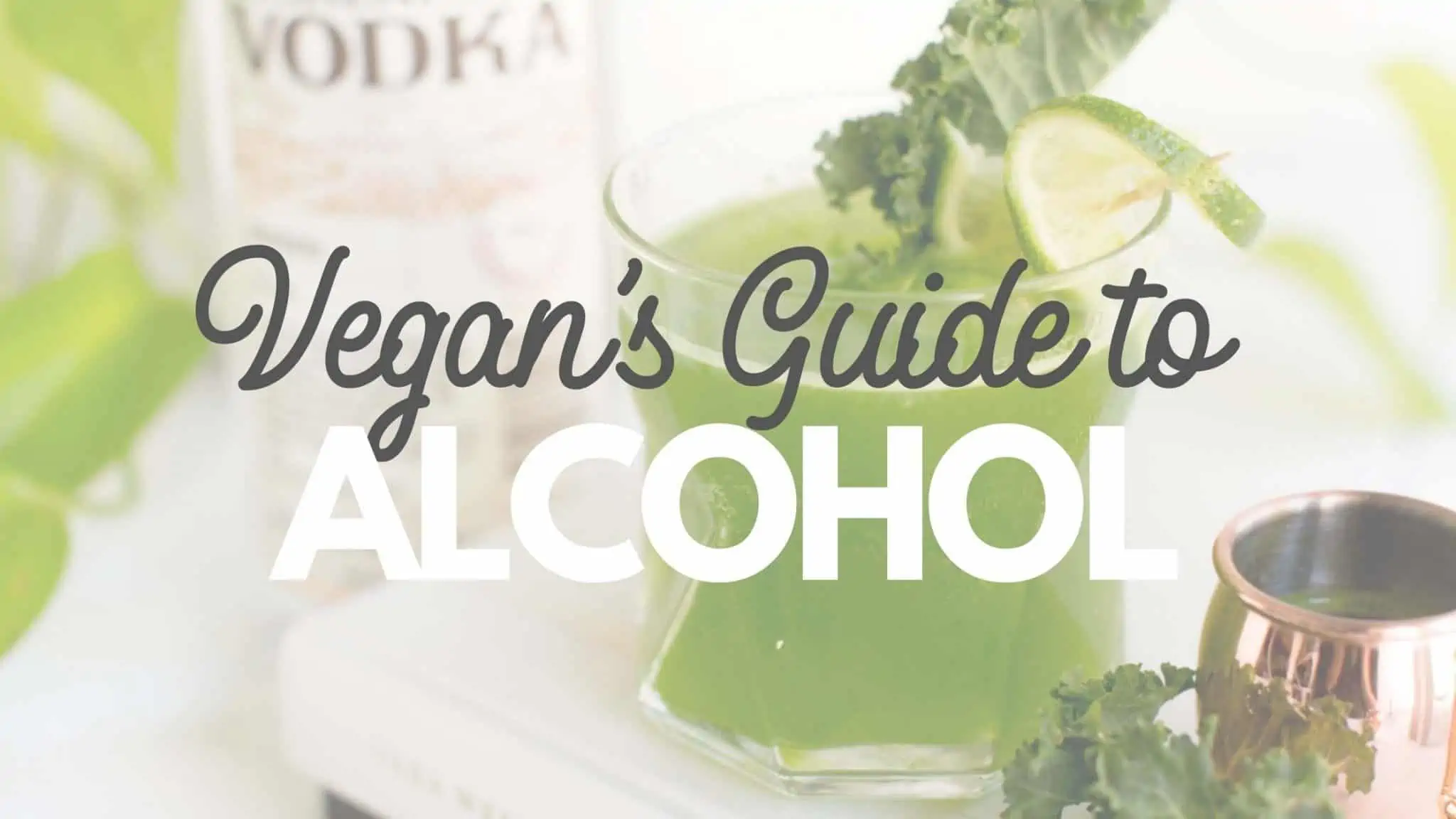 Vegan Alcohol Guide to Beer Wine and Spirits