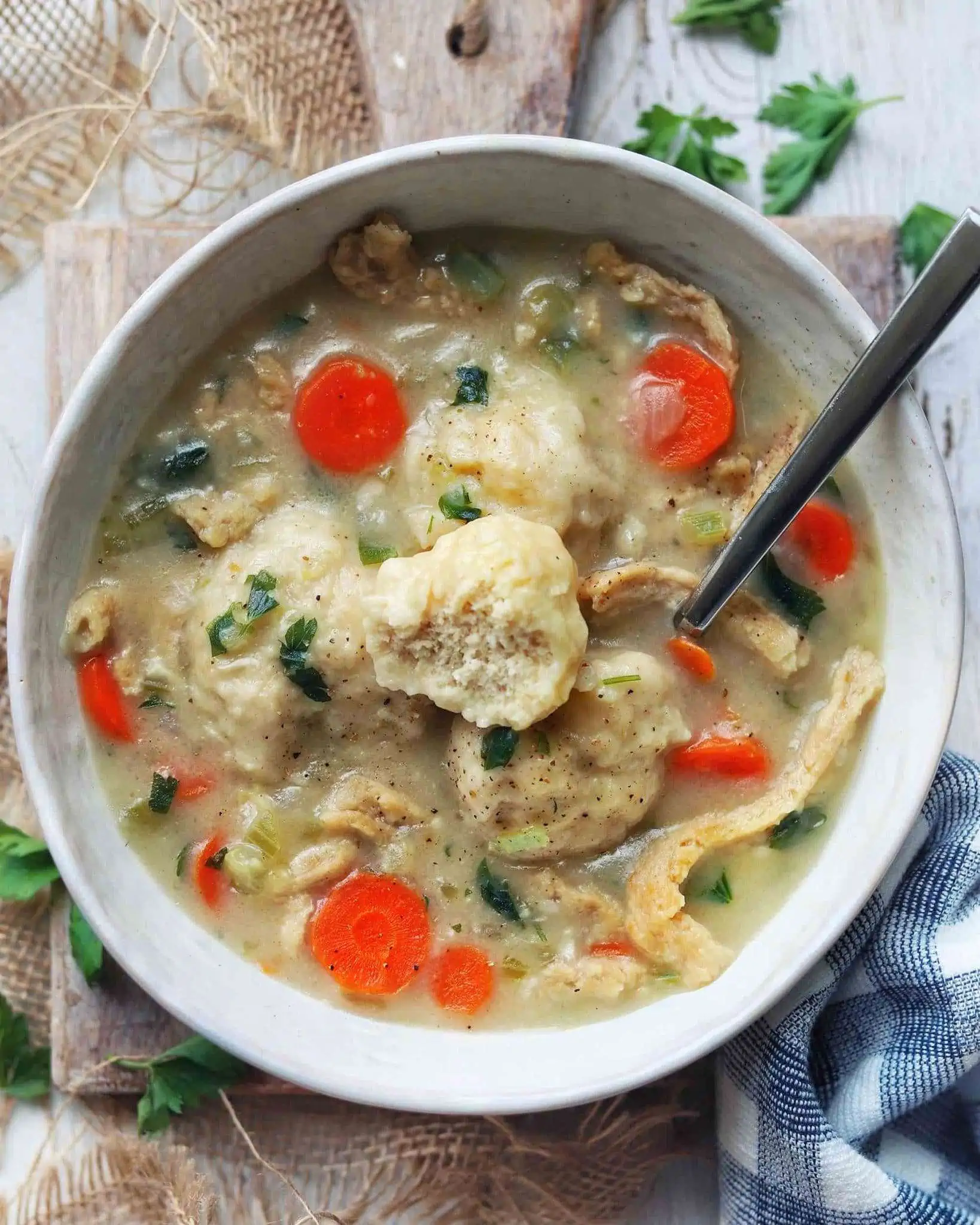 https://www.worldofvegan.com/wp-content/uploads/2021/09/Vegan-Chicken-and-Dumplings-Soup-Plantiful-Cookbook-Small-scaled.webp