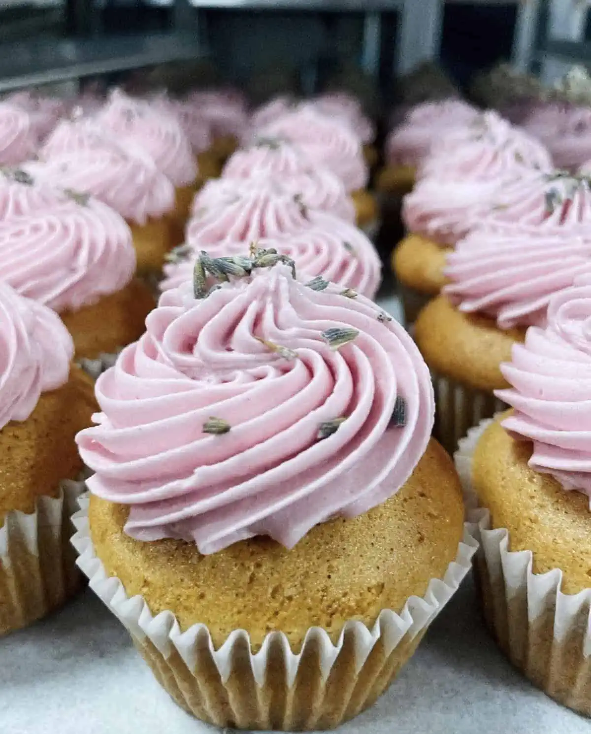 Vanilla vegan cupcakes with pink frosting from Zucchini Kill Bakery in Austin, Texas