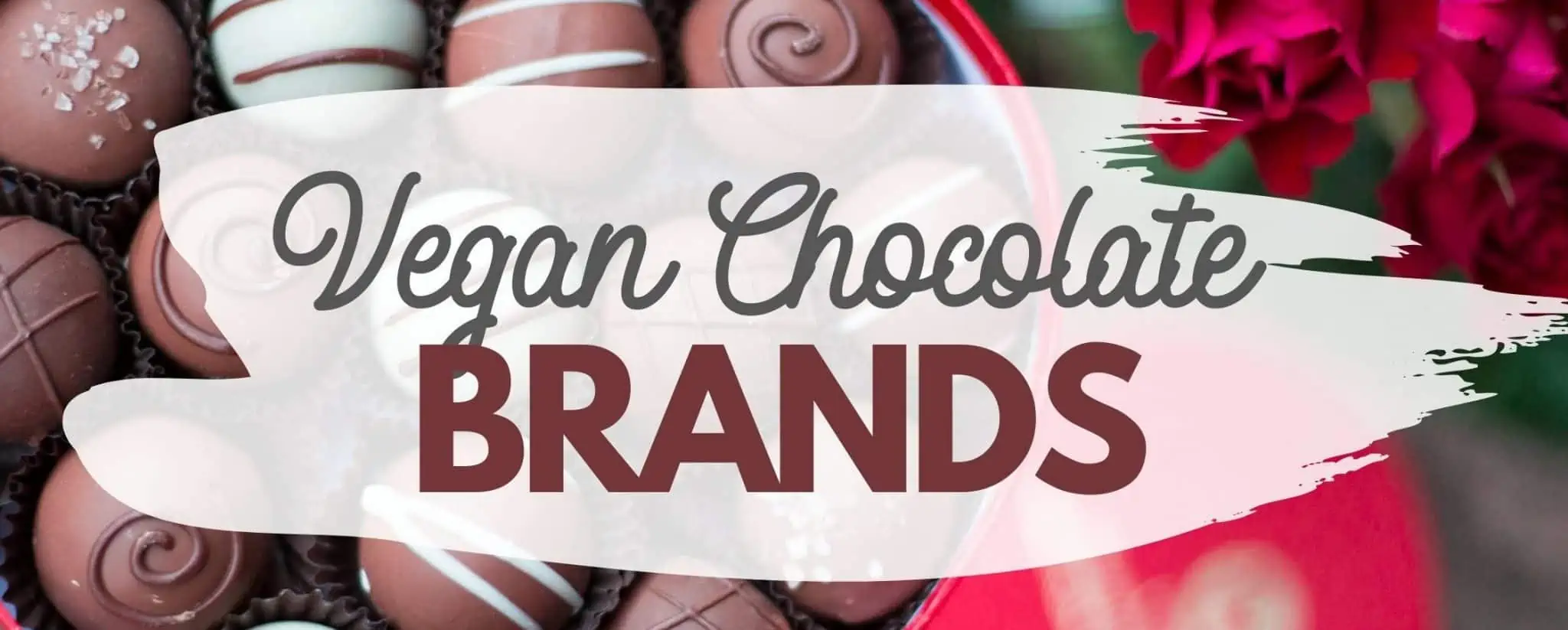 Best Vegan Chocolate Brands List
