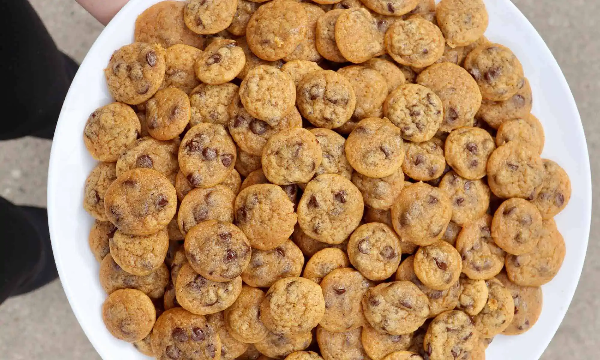 Mini Vegan Chocolate Chip Cookies with Pumpkin for Fall from Six Vegan Sisters stacked on a plate.