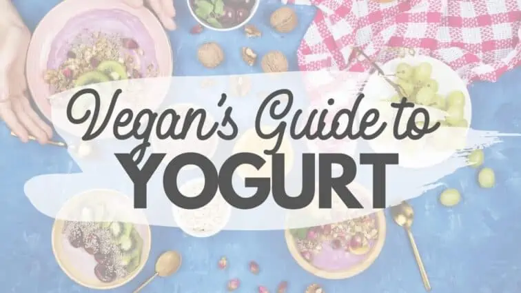 Plant Based Yogurt Guide and the best Vegan Yogurt Brands
