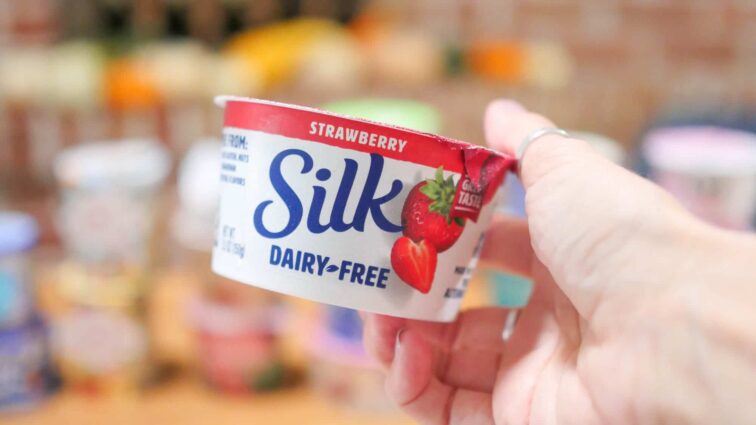 Silk Vegan Yogurt