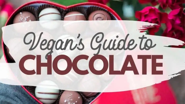 Vegan Chocolate Guide: Plant-Based Chocolate Brands & Recipes