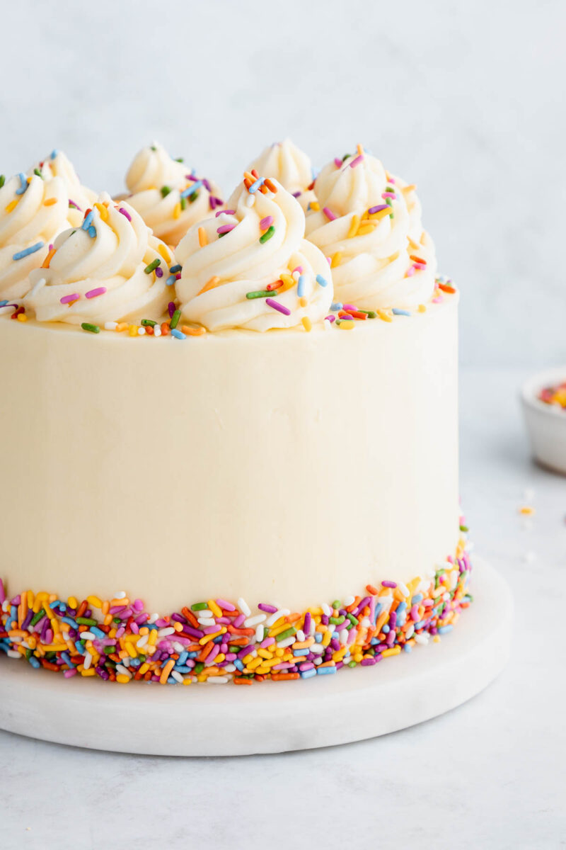 Vegan Birthday Cake Recipe | World of Vegan