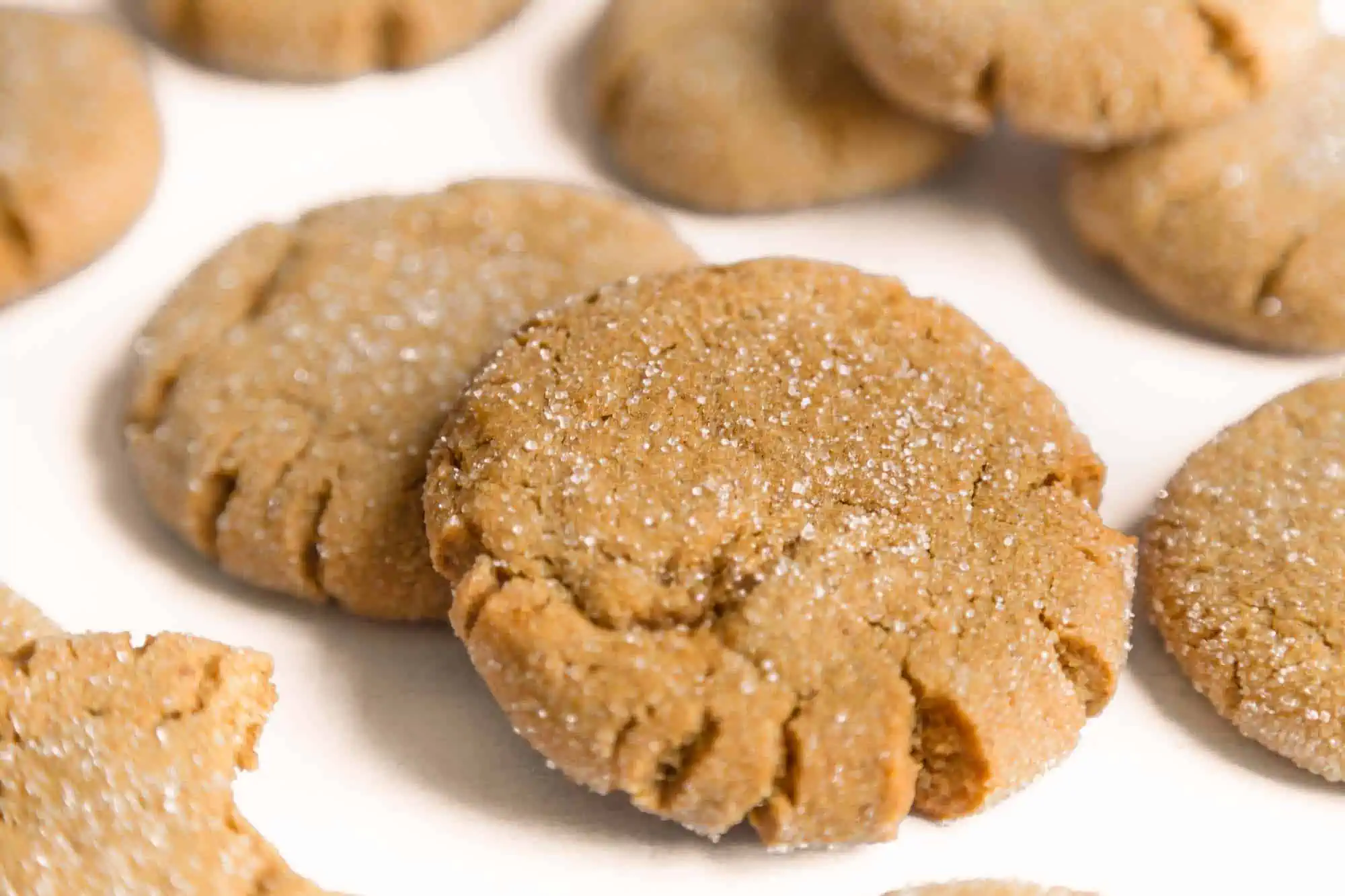 vegan gingersnap cookies