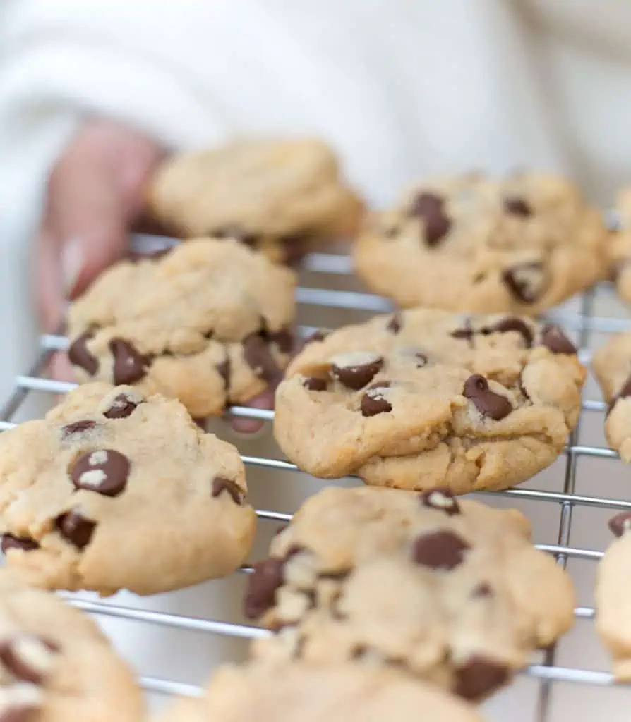 Serving Tray of Delicious Dairy-Free Cookies