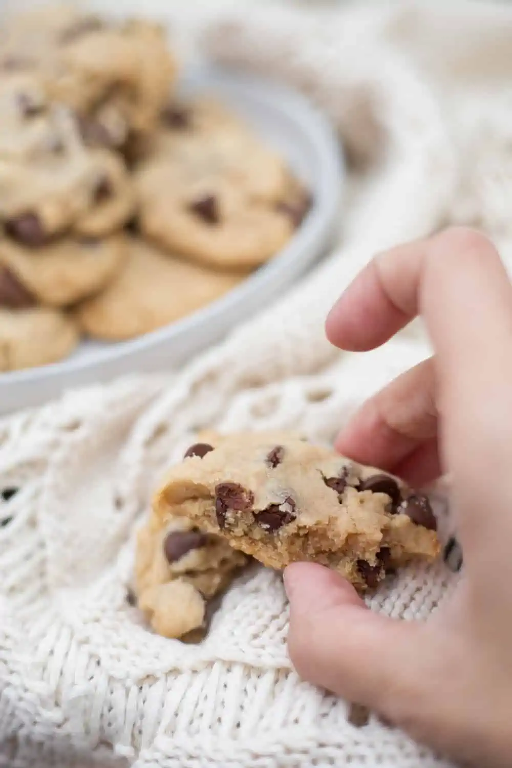 Easy Vegan Chocolate Chip Cookies