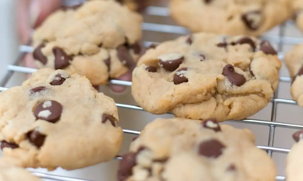 Vegan Peanut Butter Chocolate Chip Cookies