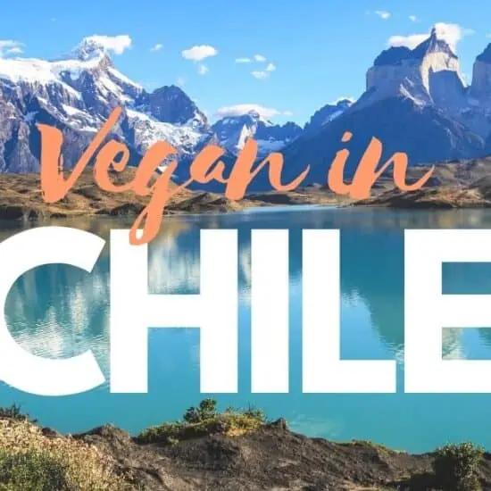 vegan in chile best restauurants in beyond cover photo featuring beautiful torres del paine
