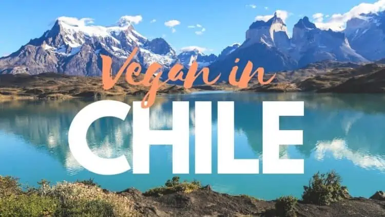 vegan in chile best restauurants in beyond cover photo featuring beautiful torres del paine
