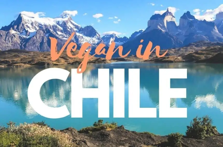 vegan in chile best restauurants in beyond cover photo featuring beautiful torres del paine