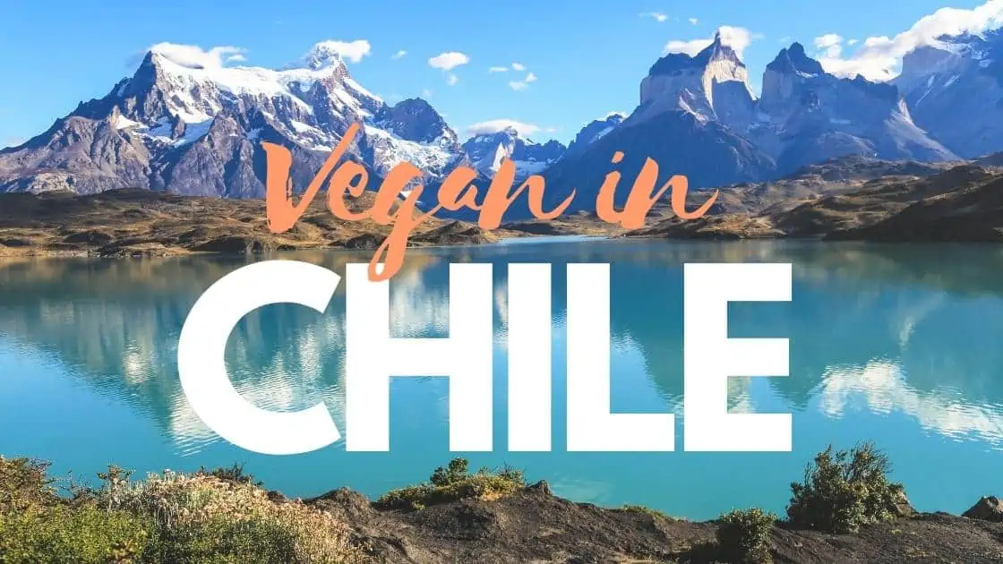 Vegan in Chile — The Best Plant-Based Restaurants & Vegan Food Brands in Santiago & Beyond!
