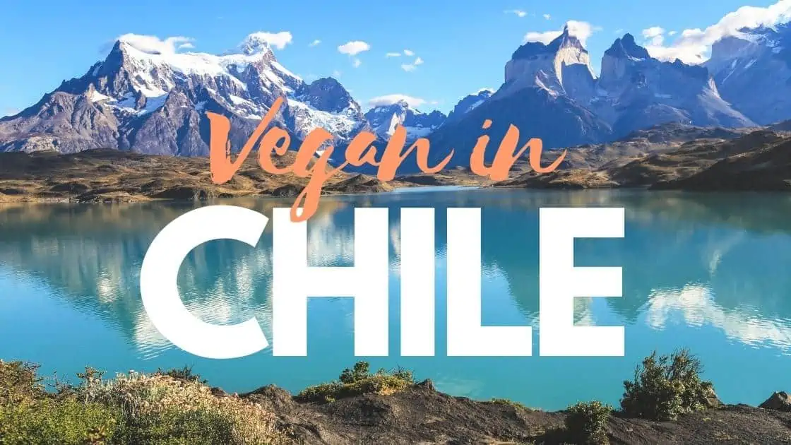 vegan in chile best restauurants in beyond cover photo featuring beautiful torres del paine