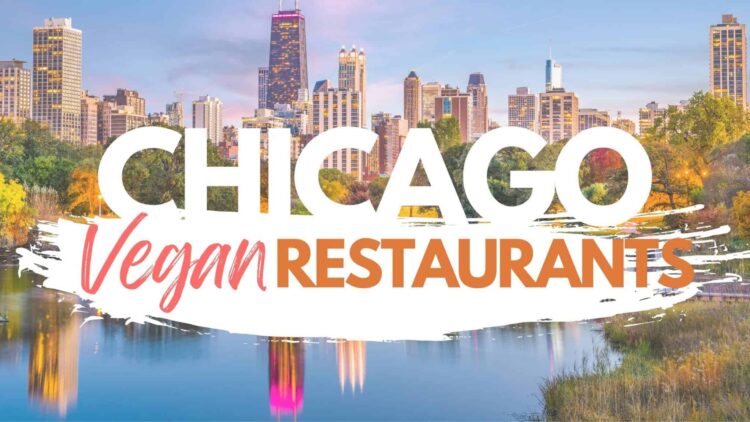 Vegan Guide to Chicago: The Best Plant-Based Restaurants in The Windy City