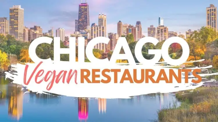 Vegan Guide to Chicago: The Best Plant-Based Restaurants in The Windy City