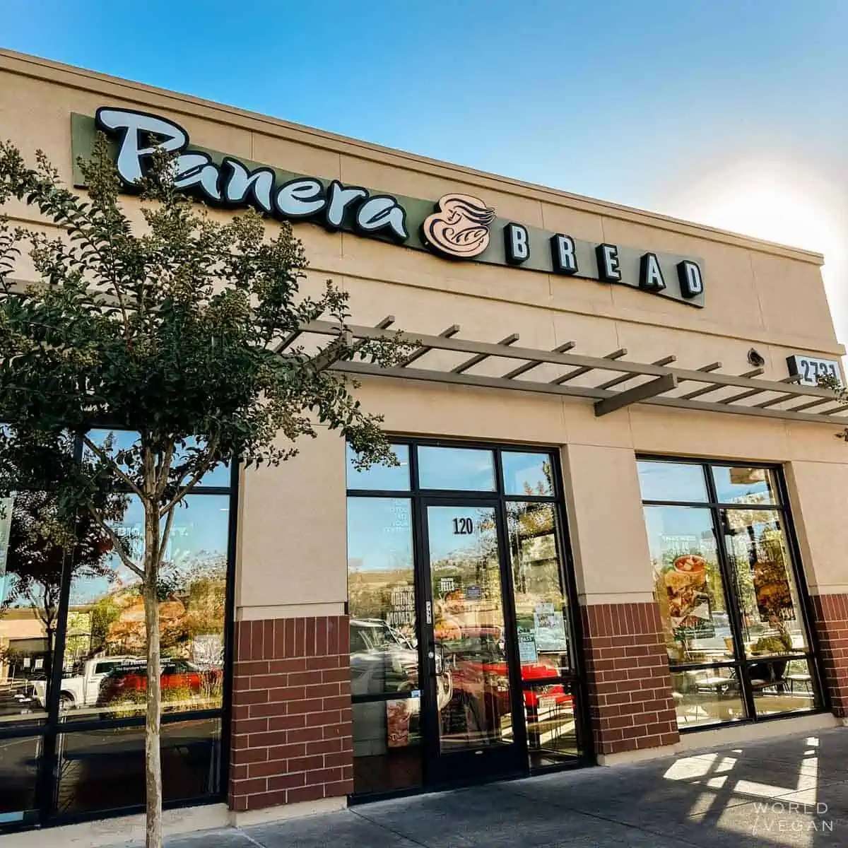 Panera Vegan Food and Drink Options (Complete List) - The Coconut Mama