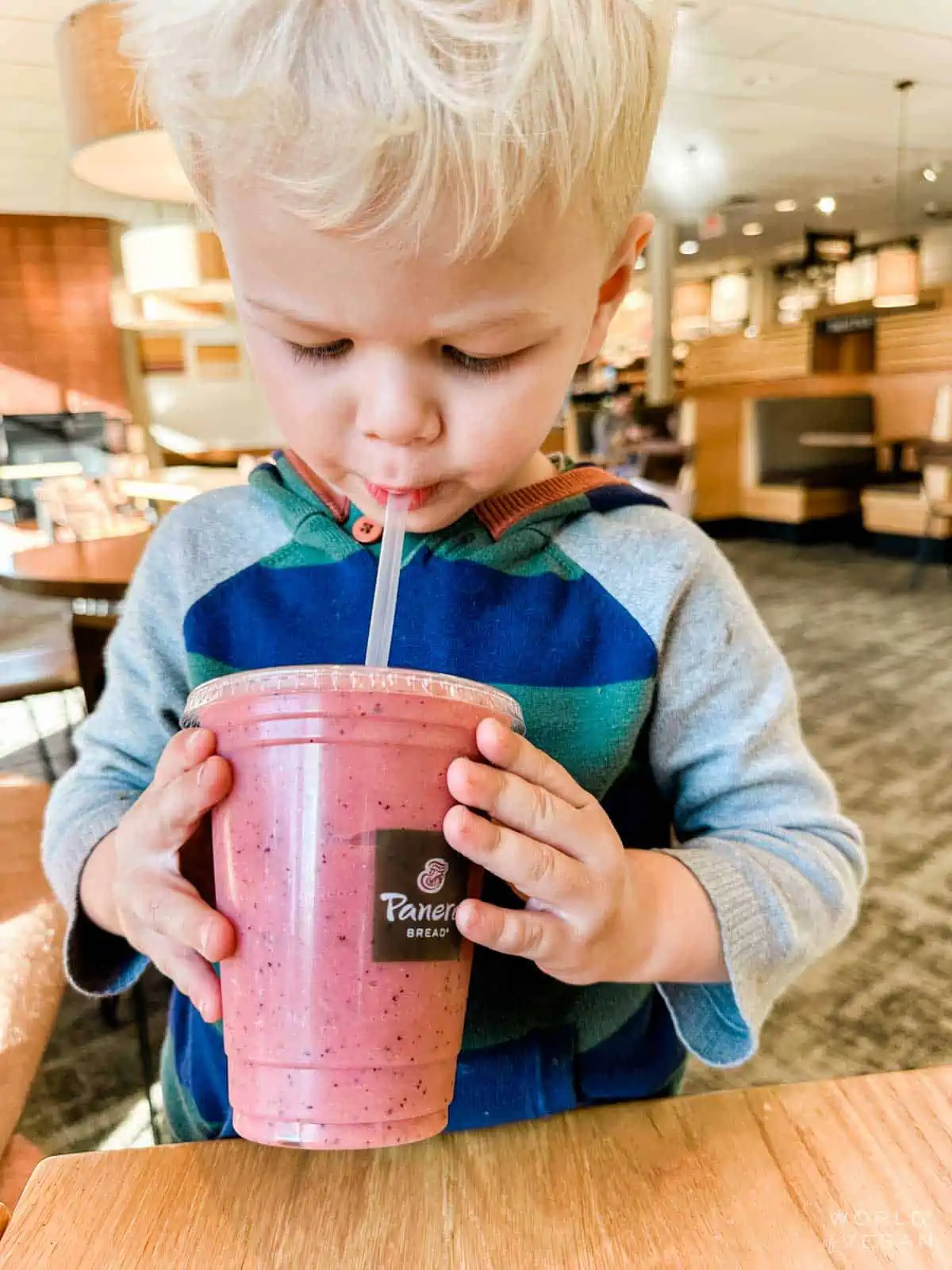 vegan kid Graham Miller drinking Blueberry and peach smoothie at Panera Bread restaurant