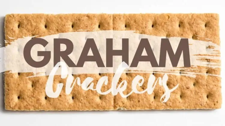 vegan graham crackers photo