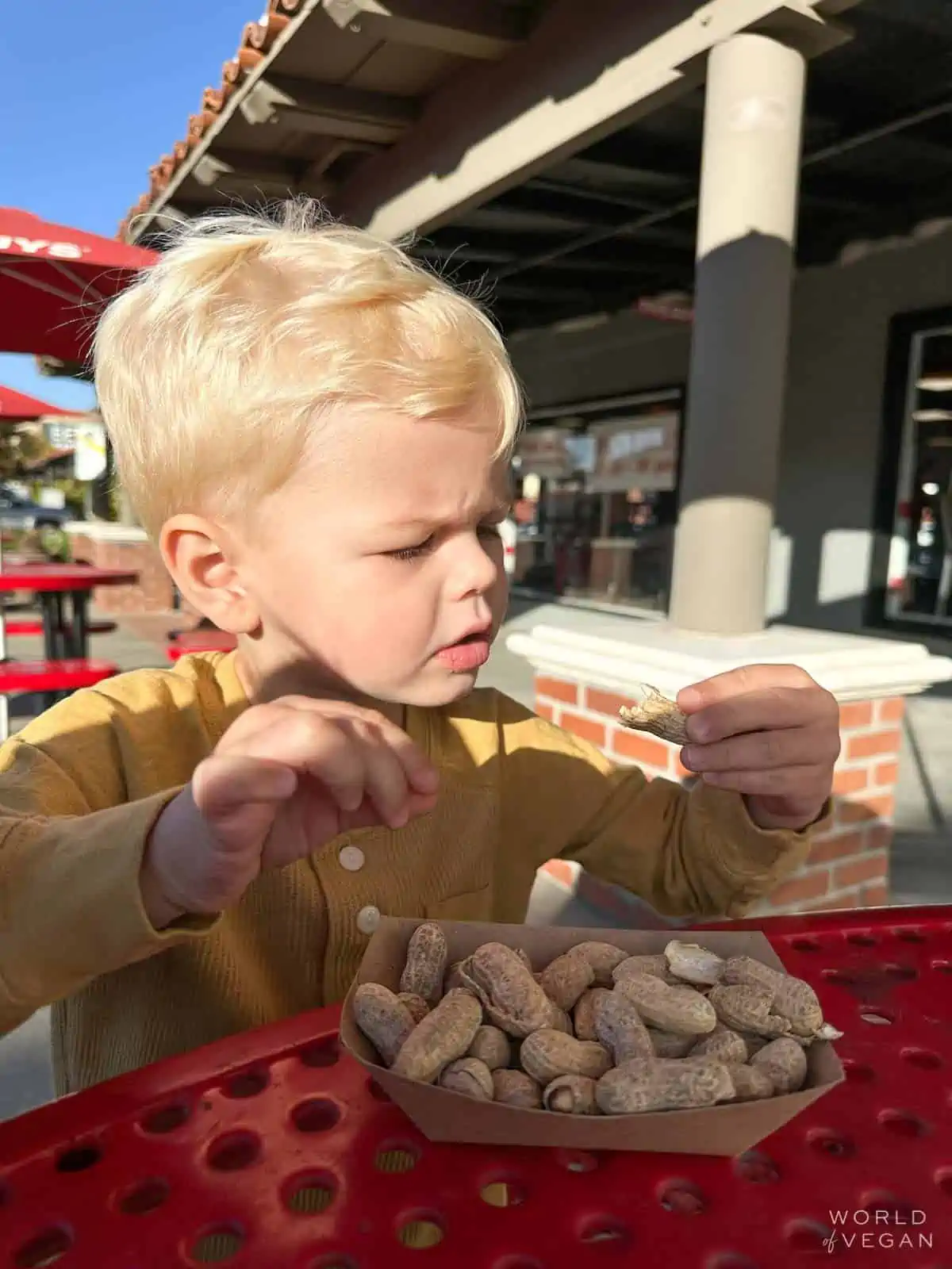 Vegan kid eating peanuts at Five Guys. 
